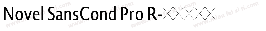 Novel SansCond Pro R字体转换